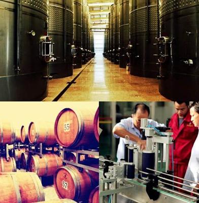 助力巴州文旅推介會 金恪罄玉酒莊打造休閑度假新業態