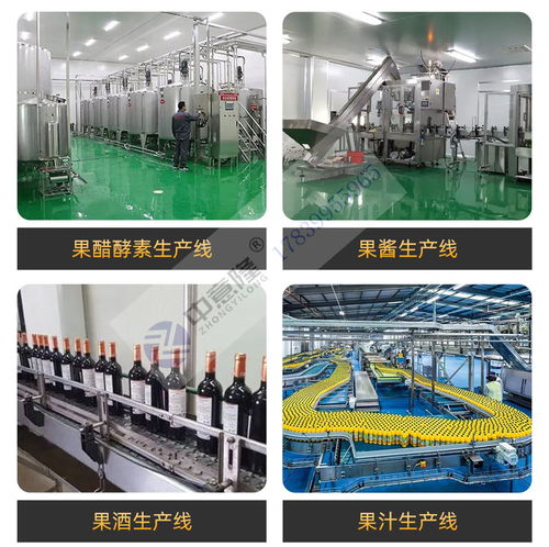 350玻璃瓶石榴酒果酒釀酒設備 年產50噸小型紅酒生產線廠家