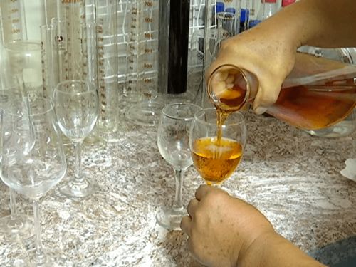 新站林場茂興營林股 發(fā)展林下經(jīng)濟(jì) 走生態(tài)致富路